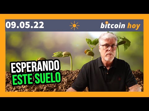A PARTIR DE AQUI PUEDE SER EL SUELO | CANAL BITCOIN HOY 1 A PARTIR DE AQUI PUEDE SER EL SUELO | CANAL BITCOIN HOY thumbnail
