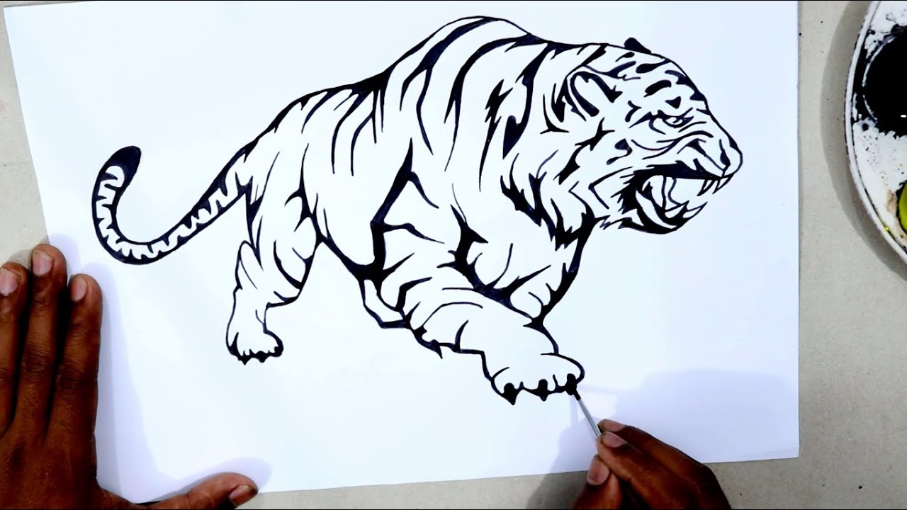 Angry Tiger Drawing / Expressive Ballpoint Pen Technique / Scribble Art  Therapy / Day 030 - YouTube