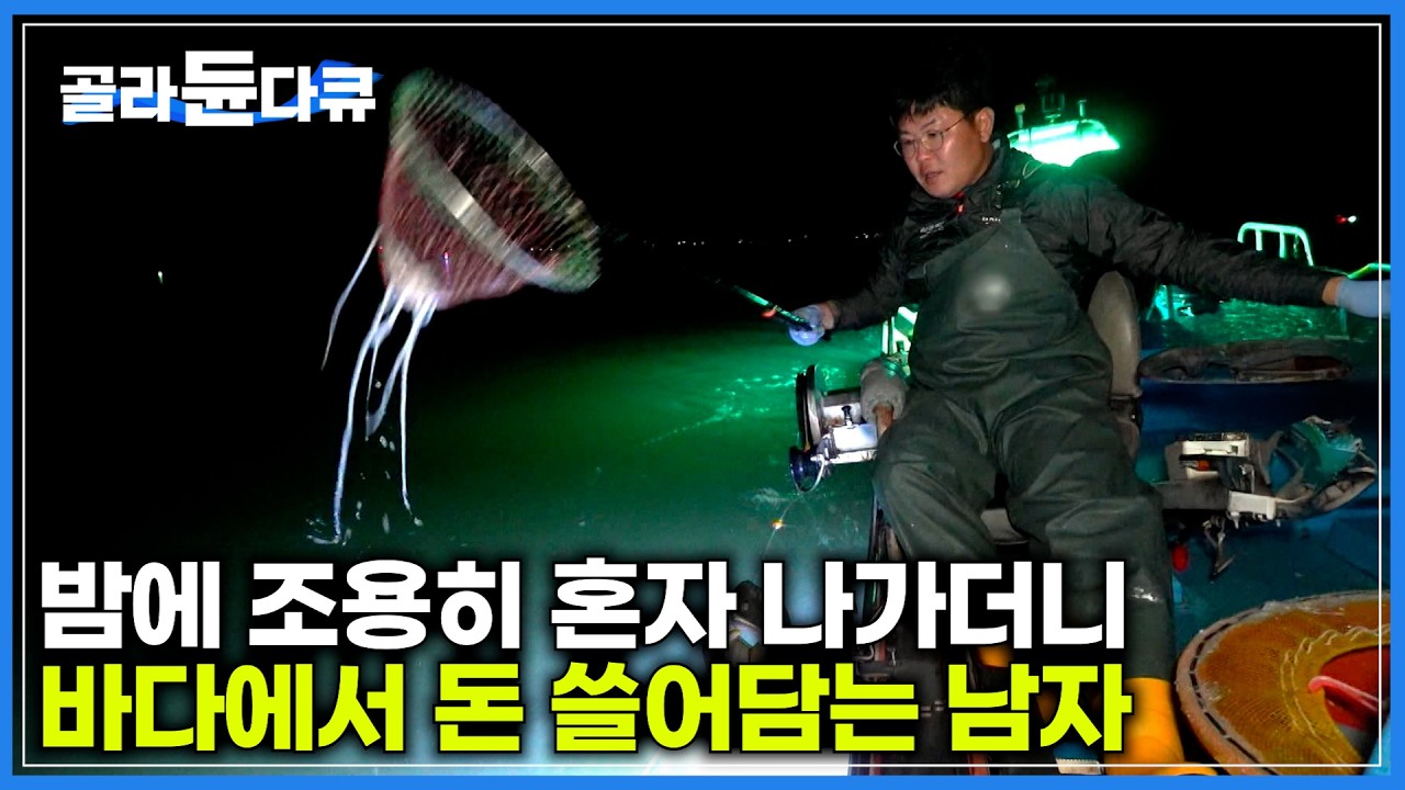 밤에 조용히 바다로 나가더니 돈 되는 낙지 싹~ 쓸어오는 청년 어부｜저렴하고 신선한 도깨비 시장 모습｜고향민국｜#골라듄다큐