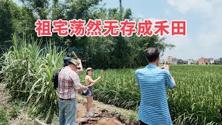 台山百曉：今日分享視頻拍攝地點是台山市大江鎮斗山里，與大馬伍氏家族來到他們太爺的家鄉尋找他們的根源，很可惜族譜沒有記載太爺的旁系分枝，曾經的村落也已經不復存在！#台山 #taishan #尋根
