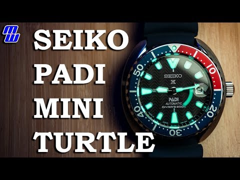 Seiko SRPC41J1 PADI Mini Turtle - Review, Measurements, Lume - Big Ted and  Jimmy Skit - YouTube
