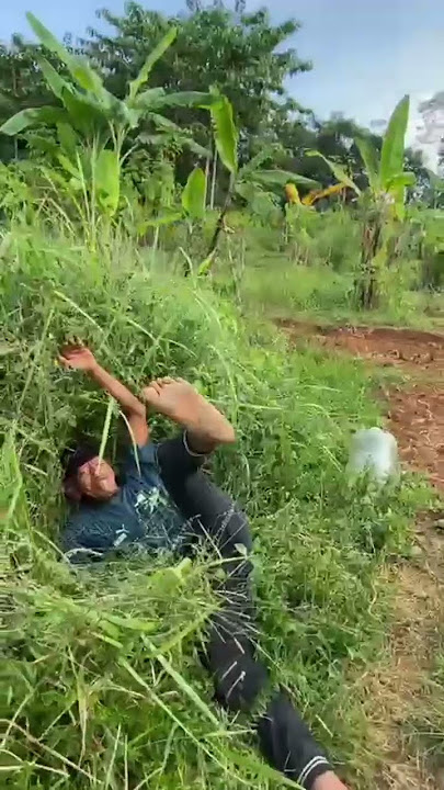 DILABRAK orang  #humor#bercandatapisantai