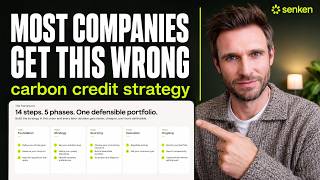 How I Would Build a Corporate Carbon Credit Strategy From Scratch Today