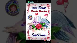 WA VID 20191217 bb4c2397