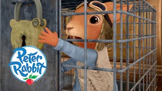 @OfficialPeterRabbit - Nutkins Gets Caught! 🐿 | Squirrel Nutkins Adventures | Cartoons for Kids