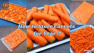 Carrots Storage for year ! How to store carrots in fridge | #storeideabyVFC
