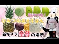 ひみつのおるすばん新しいキャラ全部の場所❗️【入手方法のコツ】#ロブロックス 隠しキャラの執事たまごやえだまめもどきも!