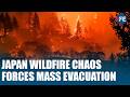 Japan Wildfires Trigger Mass Evacuations In Iwate As Fires Burn 150 Hectares, 1800+ Flee