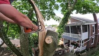 Urban tree work// Storm damaged maple
