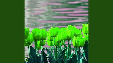 Astounding Backdrops for Thoughtful Time