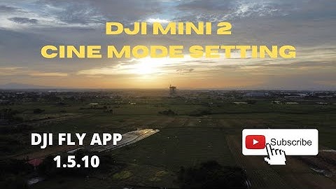 DJI MINI 2 - DJI FLY APP 1.5.10  CINE MODE SETTING