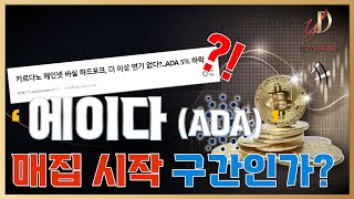 바실 하드포크 더이상 연기없다? '에이다' 매집 시작 구간인가?