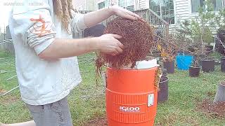 2024 Spring Repotting