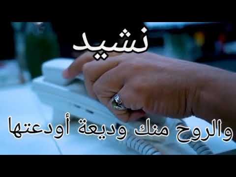 نشيد والروح منك وديعة أودعتها أجمل الأناشيد الإسلامية المصورة