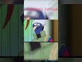 is she really kakashi's first love edit #music #song #naruto #lovestatus