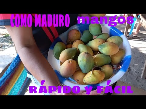 Vídeo: Com Madurar Un Mango
