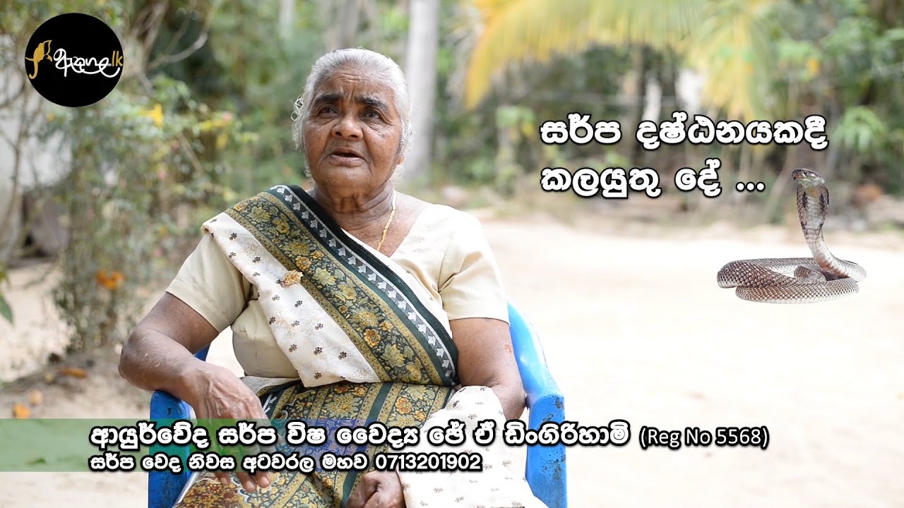 සර්ප දෂ්ඨනය කල යුතු දේ .. සර්පයින් හදුනා ගැනීම  |  විස්මිත දේශීය සර්ප වෙදකම