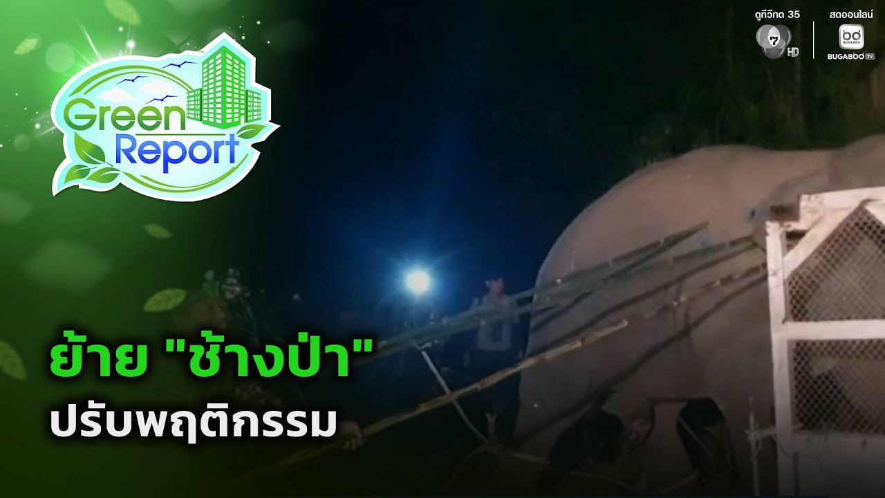 ย้าย "ช้างป่า" ปรับพฤติกรรม | Green Report