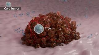 Actuate Therapeutics: targeting cancer on multiple fronts with elraglusib