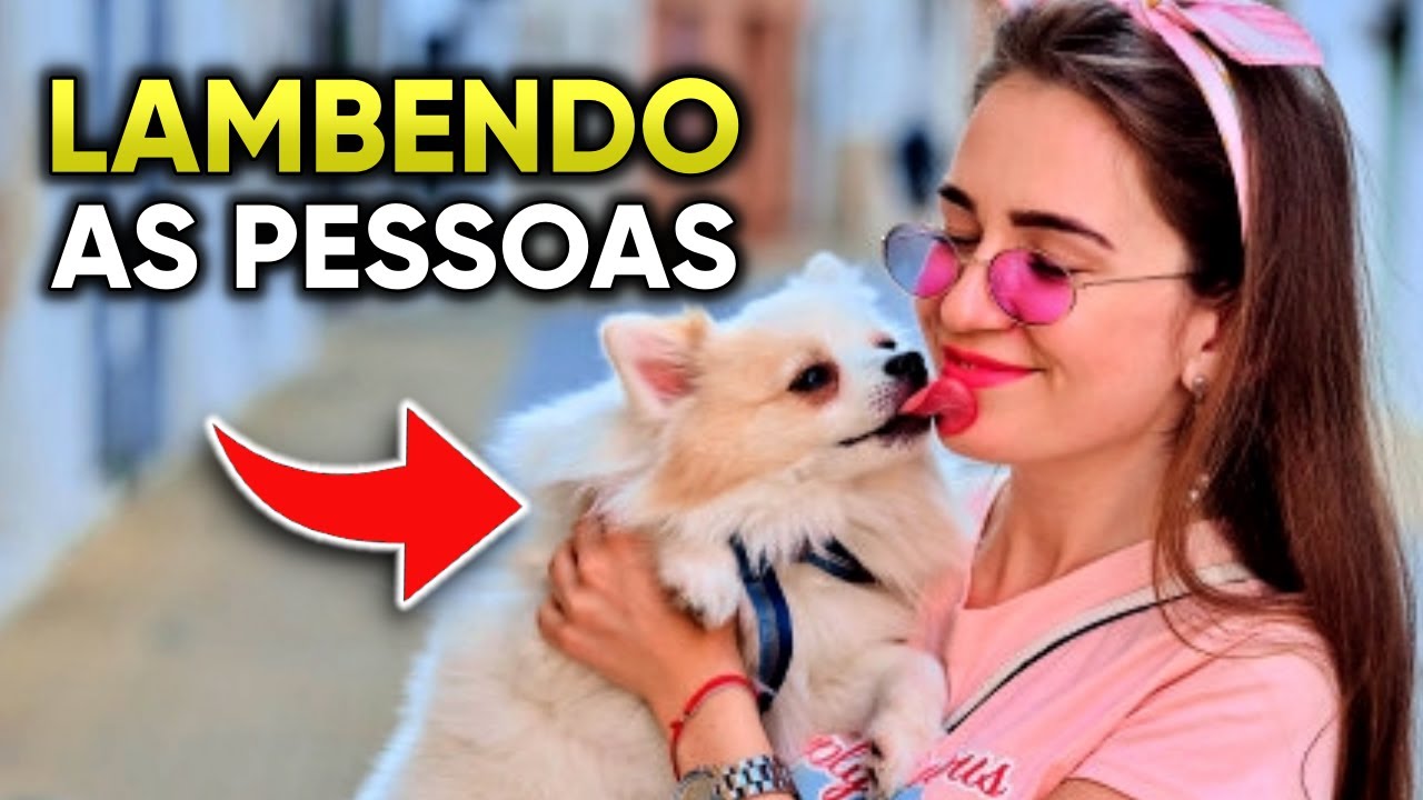 POR QUE O CACHORRO LAMBE A GENTE? - YouTube
