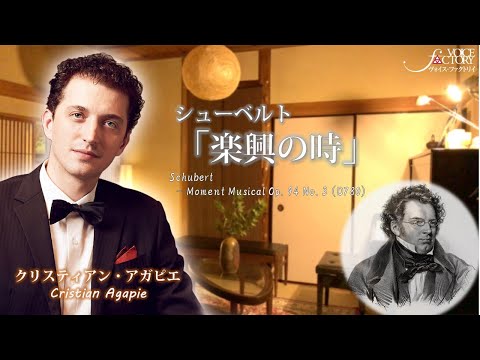 シューベルト「楽興の時」 Schubert - Moment Musical Op. 94 No. 3 (D780) 　/  お家からお家へのピアノメッセージ名曲の素敵なフレーズを！