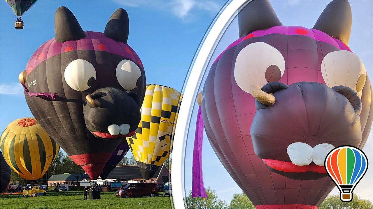 MORRIS THE DONKEY HOT AIR BALLOON PH-TSS FLYING AT THE