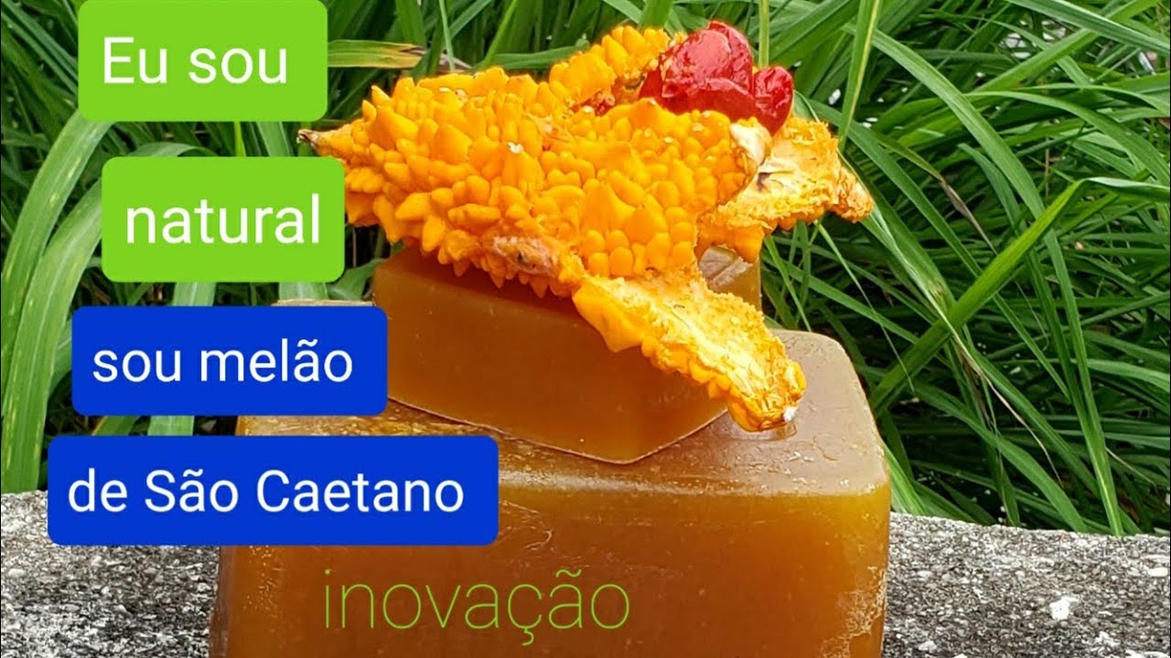 Base glicerinada inovação com a fruta do melão de São Caetano sebo ...