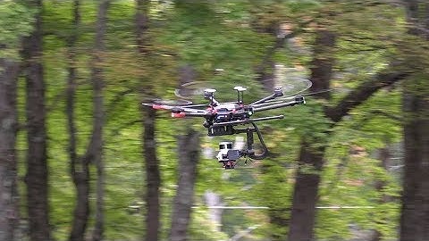 High-speed Aerial Navigation and Obstacle Avoidance through Trees