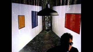 Watch Terry Scott Taylor Beyond The Wall Of Sleep video