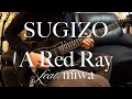 SUGIZO / A Red Ray feat. miwa / Guitar Cover