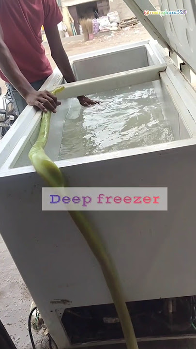 1. deep freezer voltas #voltas