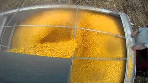 Corn Harvest Kinze 1050 Grain Cart Unloading into hopper bottom 10-25-2011