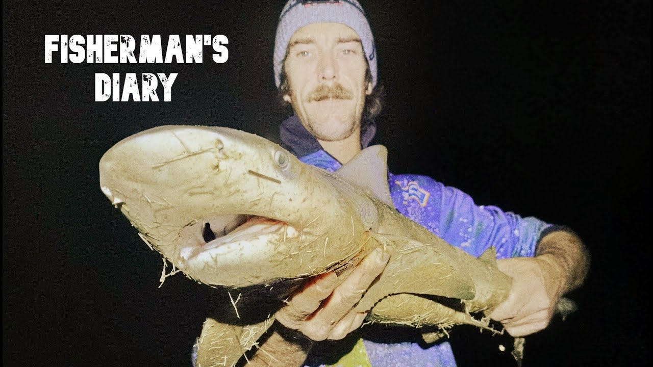 South Pine River Night Bull Shark ~ Fisherman's Diary Ep 647