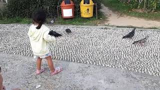 Playing With Bird Memberi Makan Burung