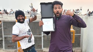 Aaj sare new kabutaron ko open kar diya or youtube play button agya Alhamdulilah 😍