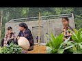 The house is almost complete  uyen and the old lady harvest beans and sell them alone