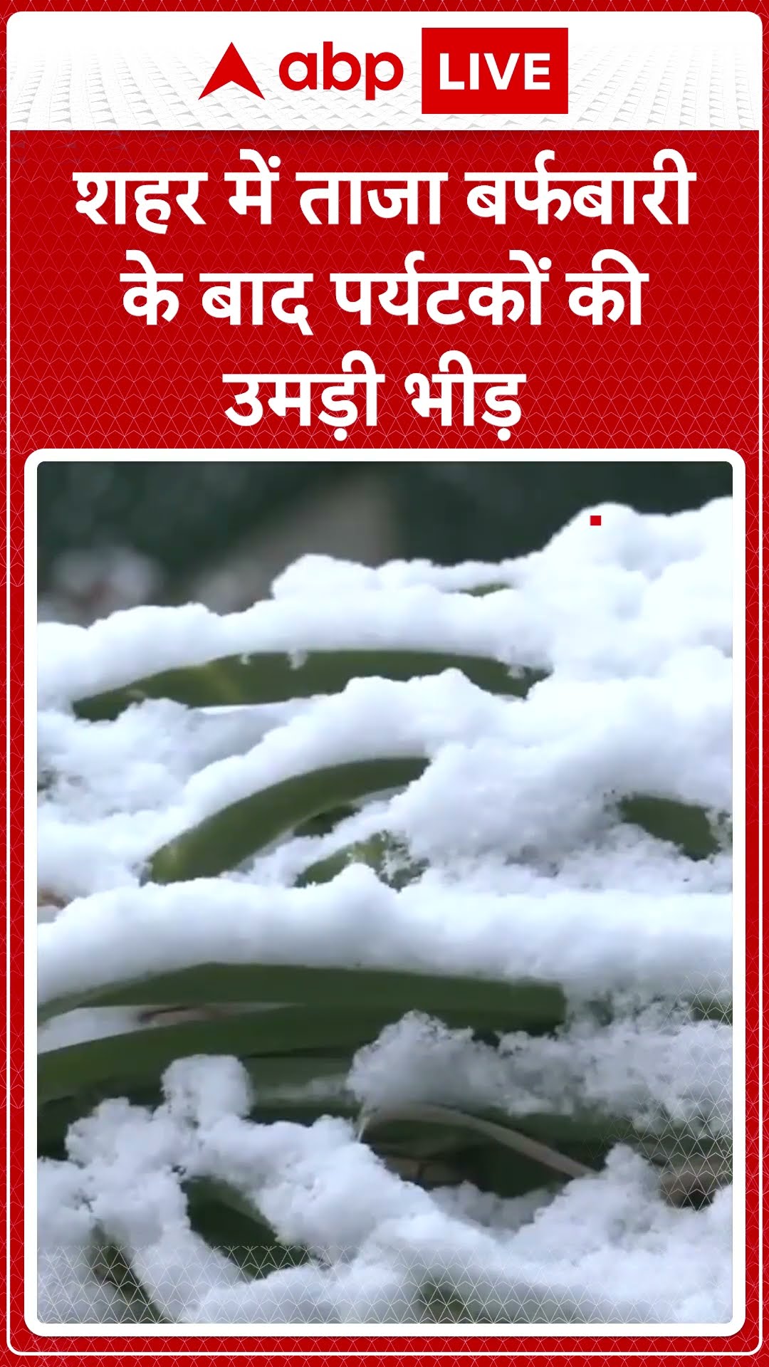 Shimla Snowfall: शिमला की खूबसूरत वादियों मे बर्फ़बारी | ABP LIVE | SHORTS