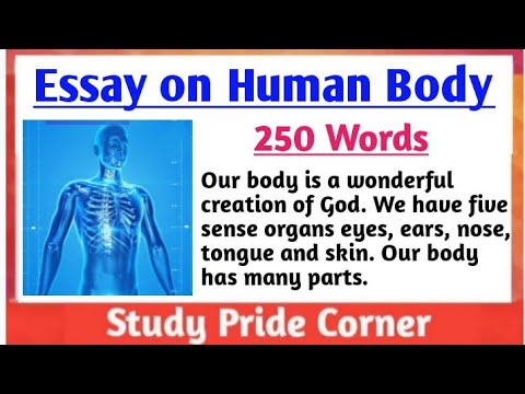 essay on human body for class 5