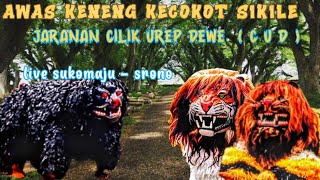 macan caplok || jaranan cilik urep dewe || live sukomaju - srono