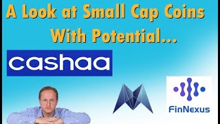 A Quick Look at Small Cap Coins with Potential (Cashaa, FinNexus, Morpheus)