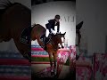 Wow 😮 #shorts #viral #trending #youtubeshorts #horse #sports #entertainment #amazing #fun image