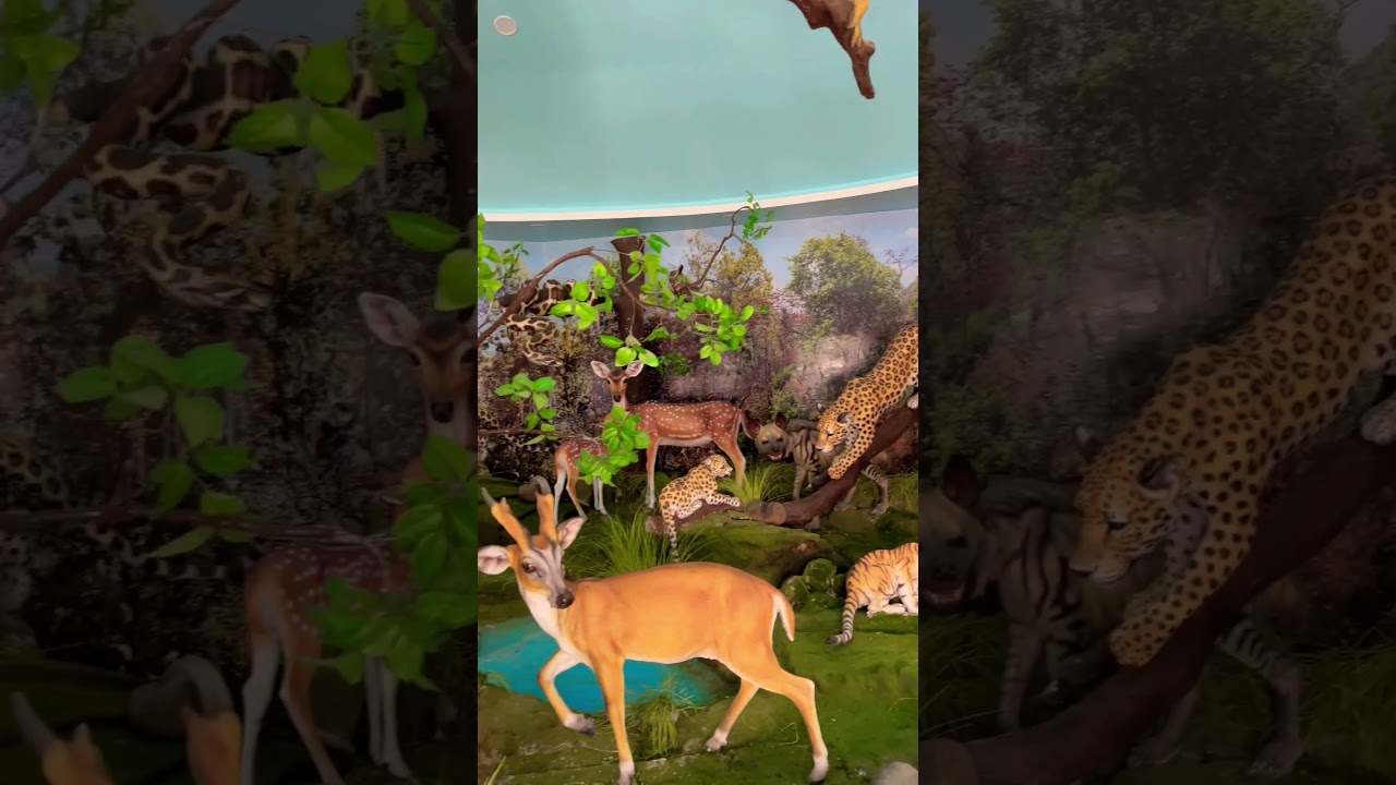 dumka park | dumka new park | dumka vlog |Dumka park new 