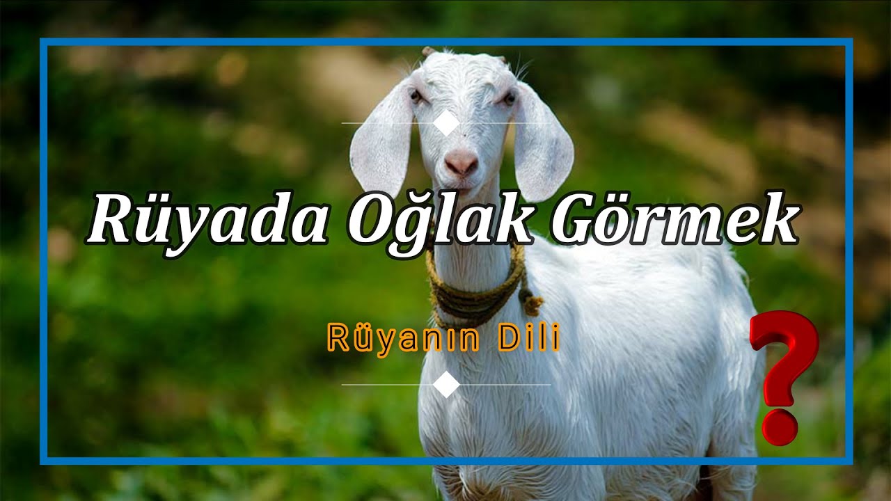 RÜYADA OĞLAK GÖRMEK (rüya tabiri) - YouTube