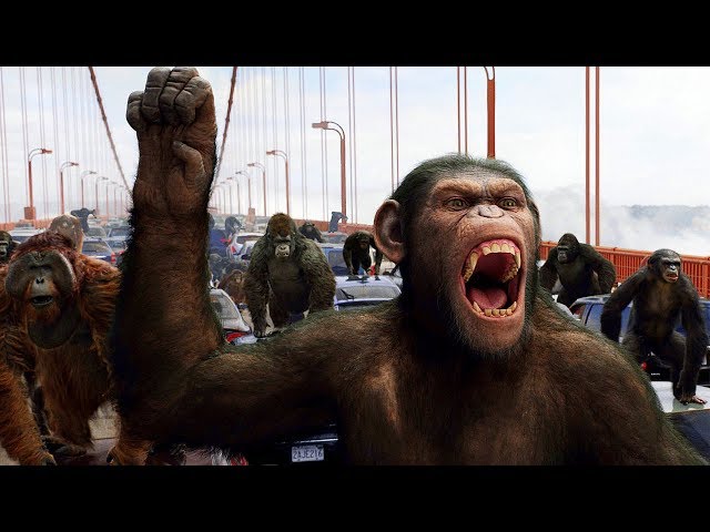 Apes vs Humans - Bridge Battle - Rise of the Planet of the Apes (2011) Movie Clip HD class=