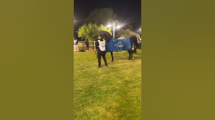 البطل الذي لم يهزم  اليهاندرو #horse #خيل #اكسبلور #حصان #stallion