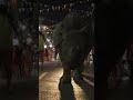 TRAILER DROP рџЊЋ PlanetEarth3 TRAILER DROP рџЊЋ PlanetEarth3