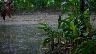 Cool Rain Sound Falling on the Walking Path / Rain Sound ASMR for Overcoming Insomnia & Deep Sleep