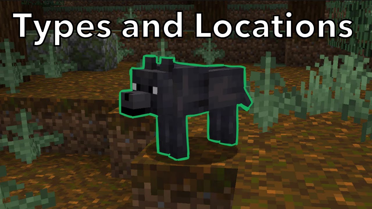 Where to Find All Minecraft Dogs - YouTube