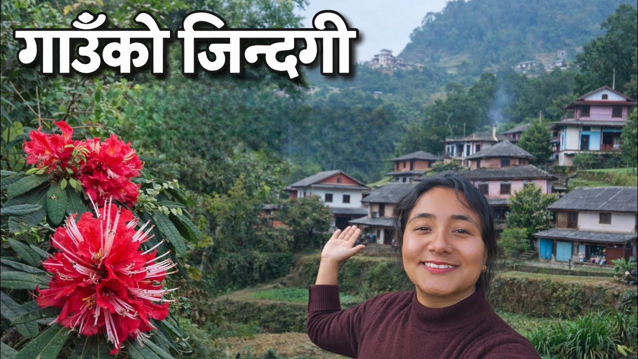 ममता लैलैको गाउँले जीवन 🤗 @Mamatalailaivlogs 