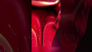 Fertilization 3D animation | The first race of life #newlife #embryology #shorts#3danimation